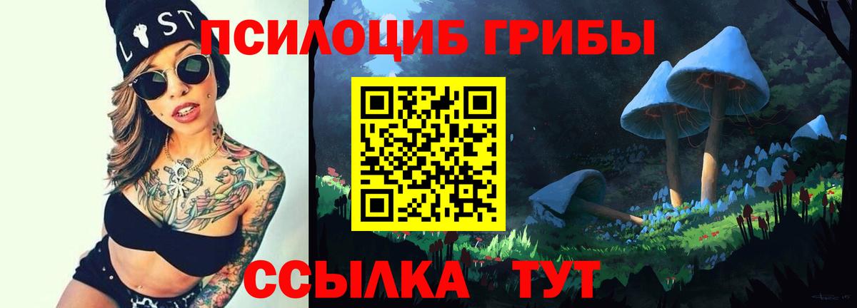 Вичуга  Псилоцибиновые грибы Psilocybine cubensis  Вход с VPN  Псилоцибиновые грибы прущие грибы 